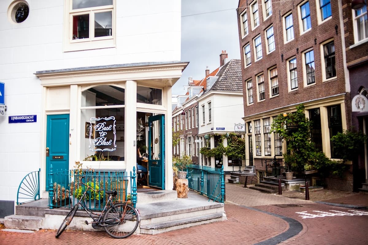 Back to Black in Amsterdam