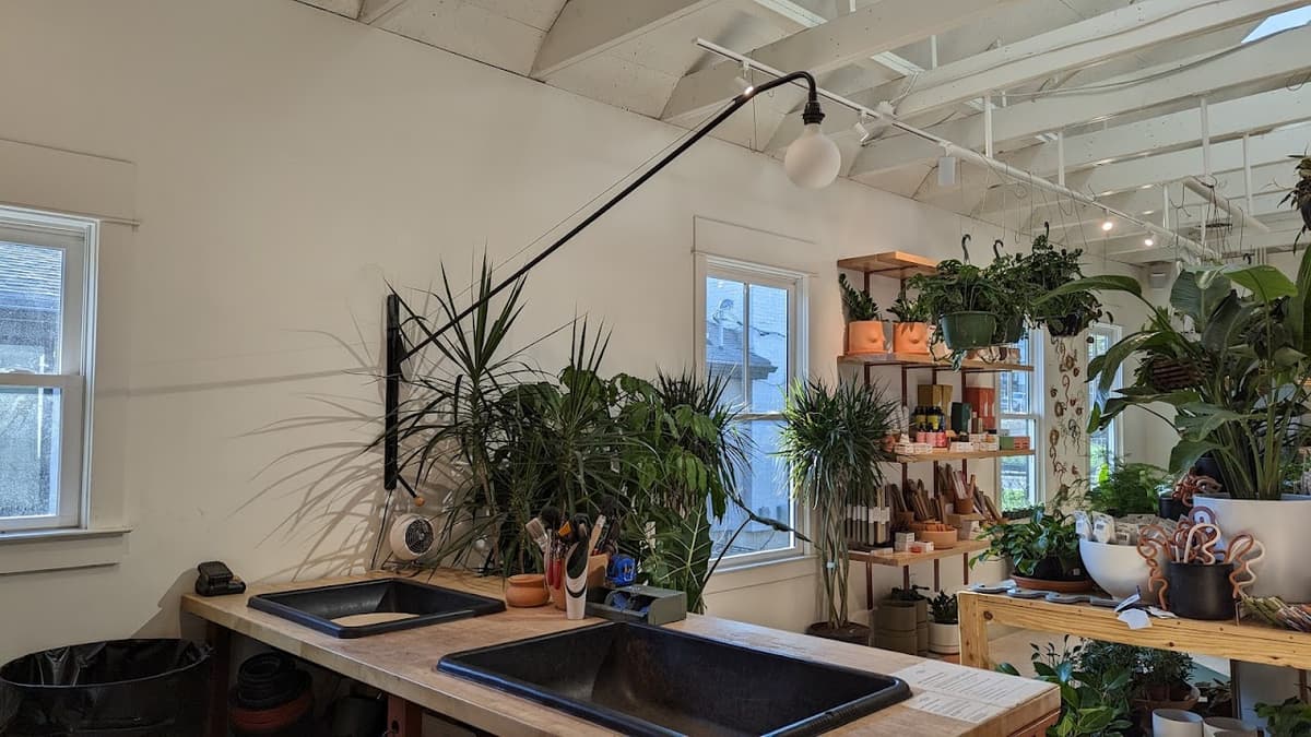 Bellwood Coffee (East Atlanta Village) in Atlanta
