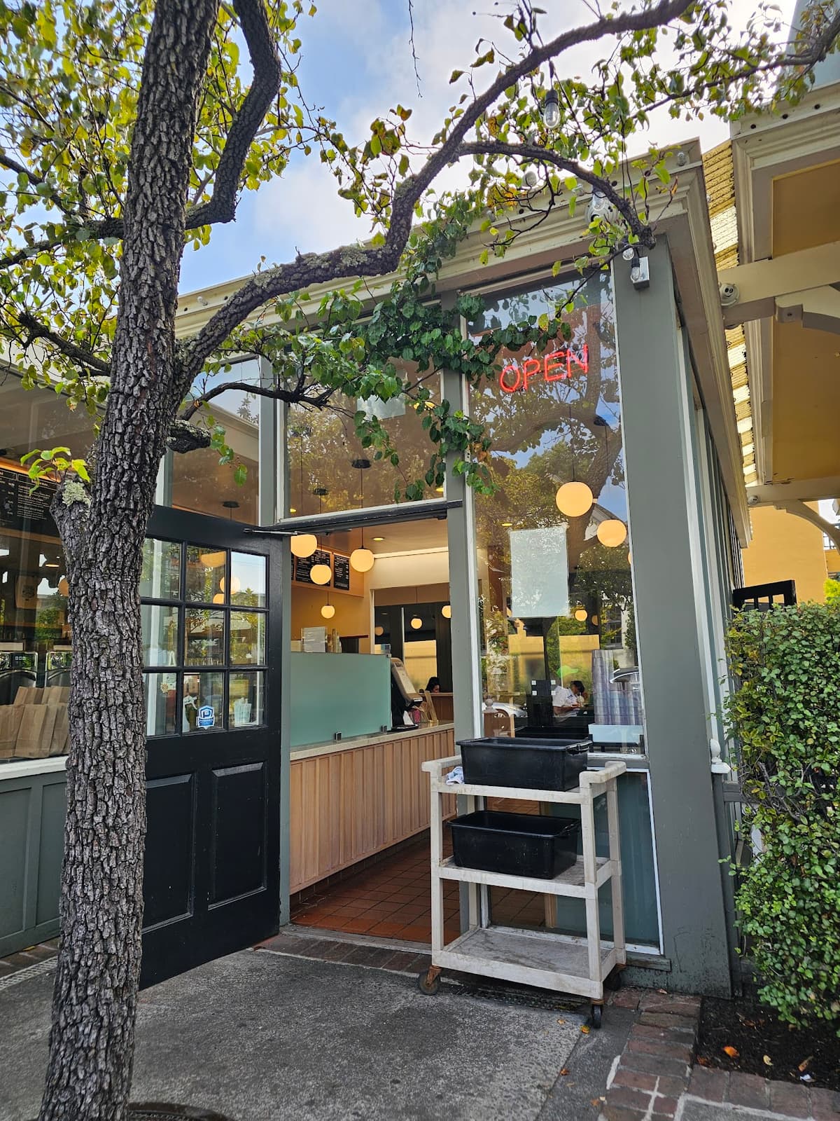 Caffe Strada in Berkeley