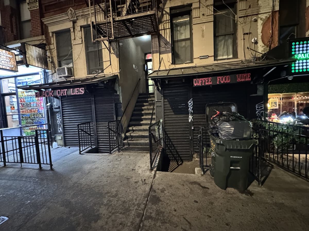 Black Cat in New York City