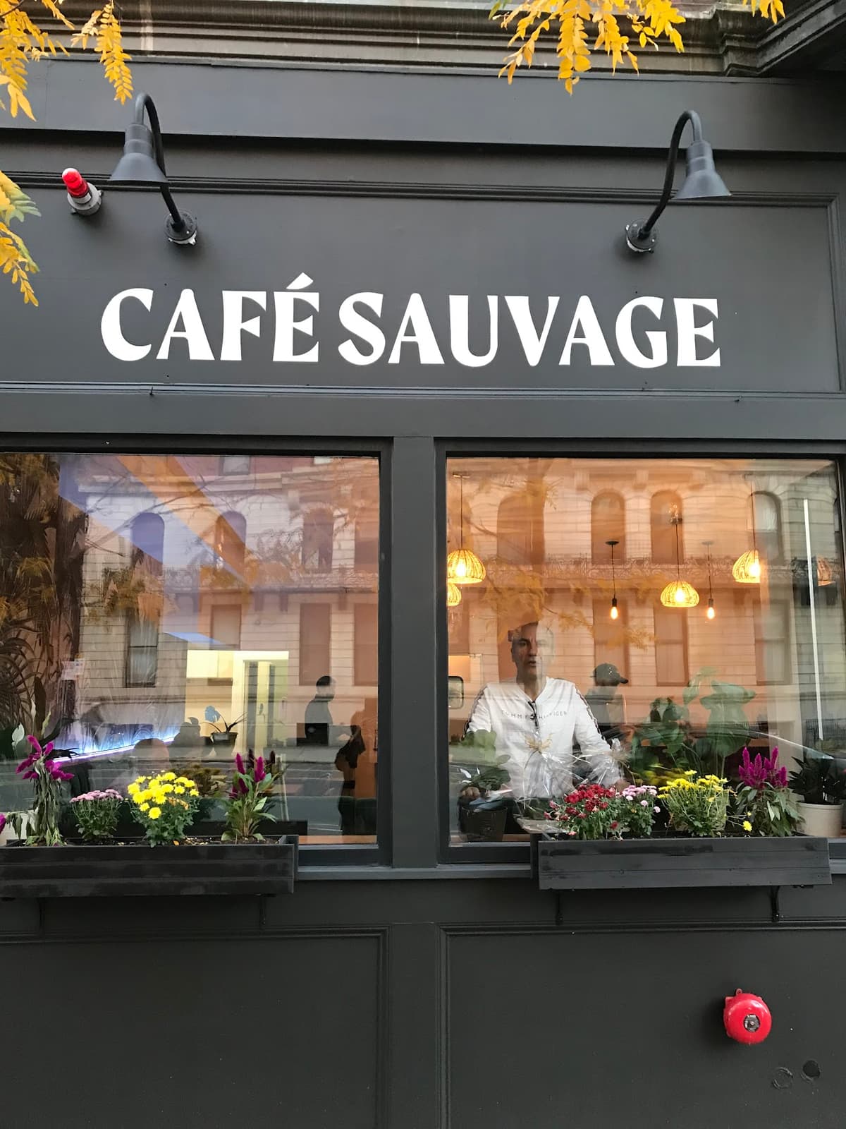 Cafe Sauvage in Boston