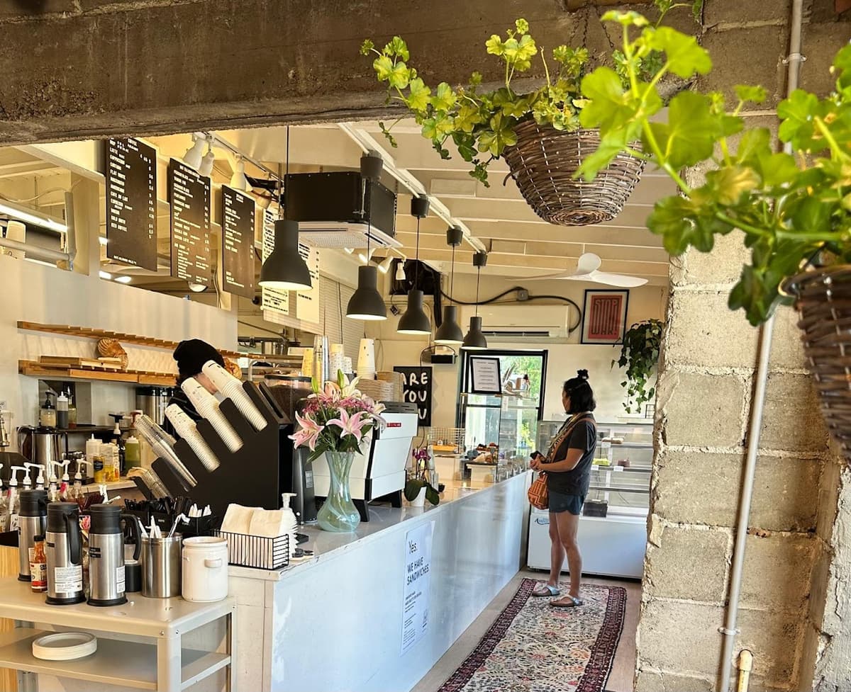 La Saison in Boston