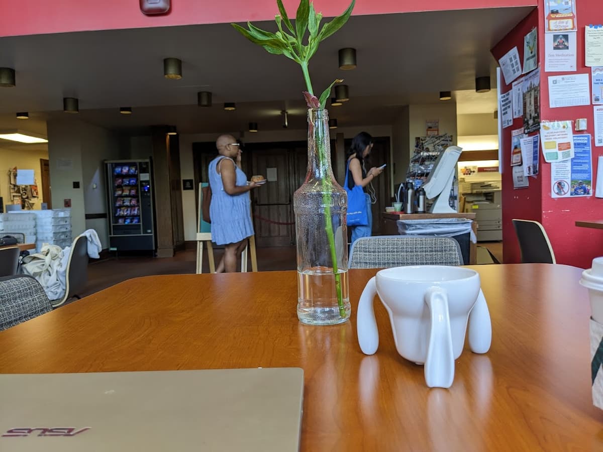 Harper Cafe in Chicago