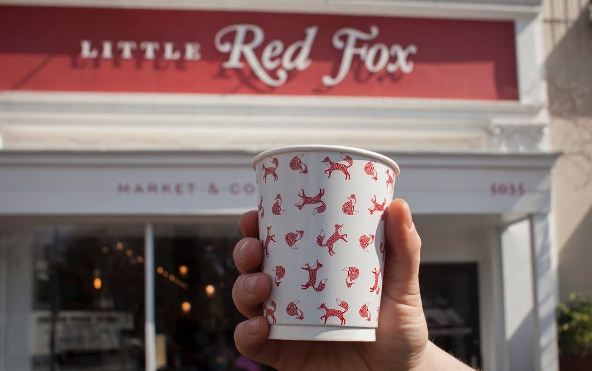 Little Red Fox in Washington DC