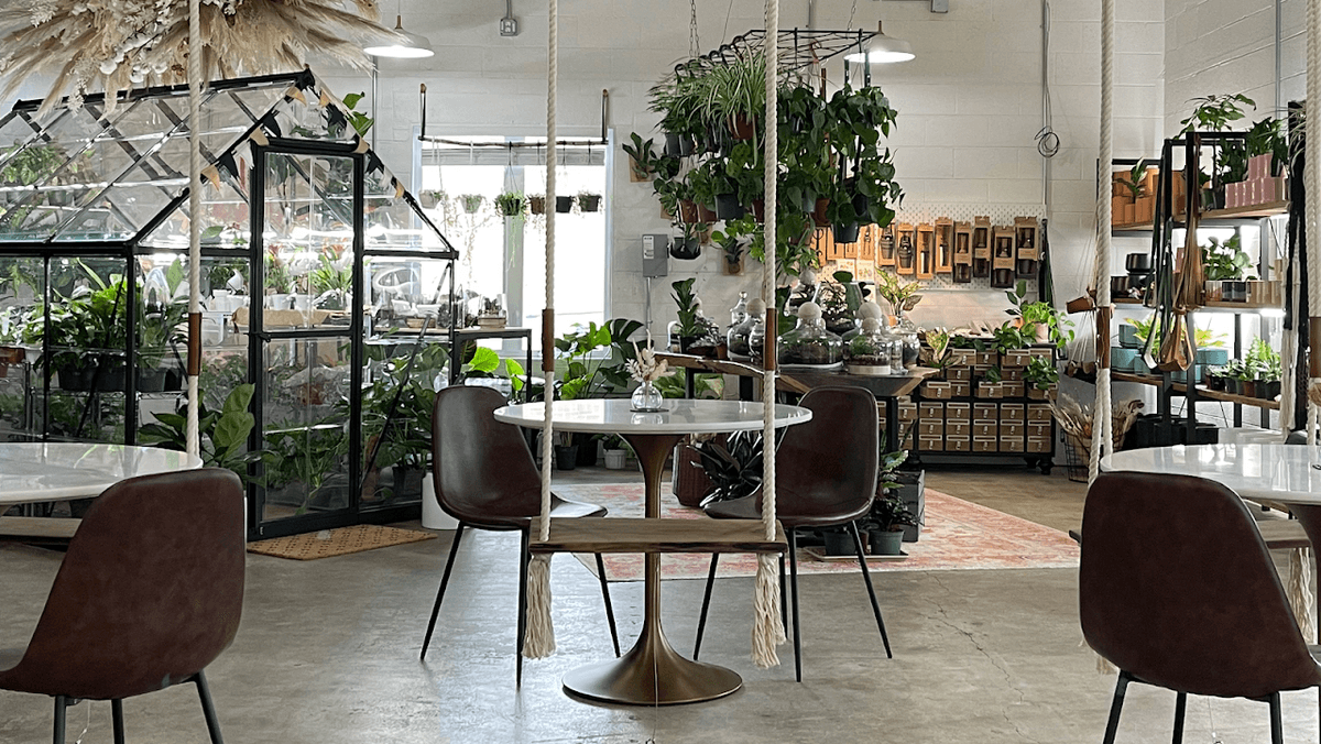Dandy Lion Coffee in Denver