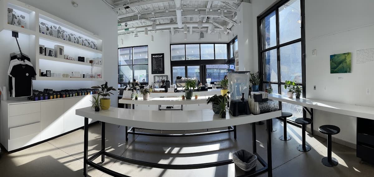 Madcap Coffee in Detroit