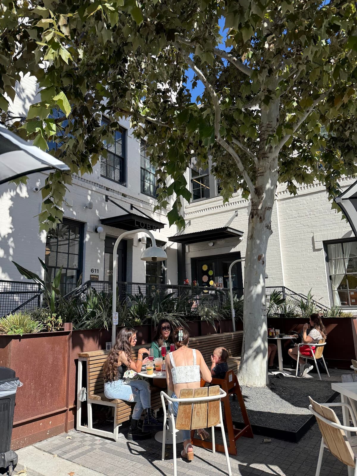 Dandelion Cafe in Houston