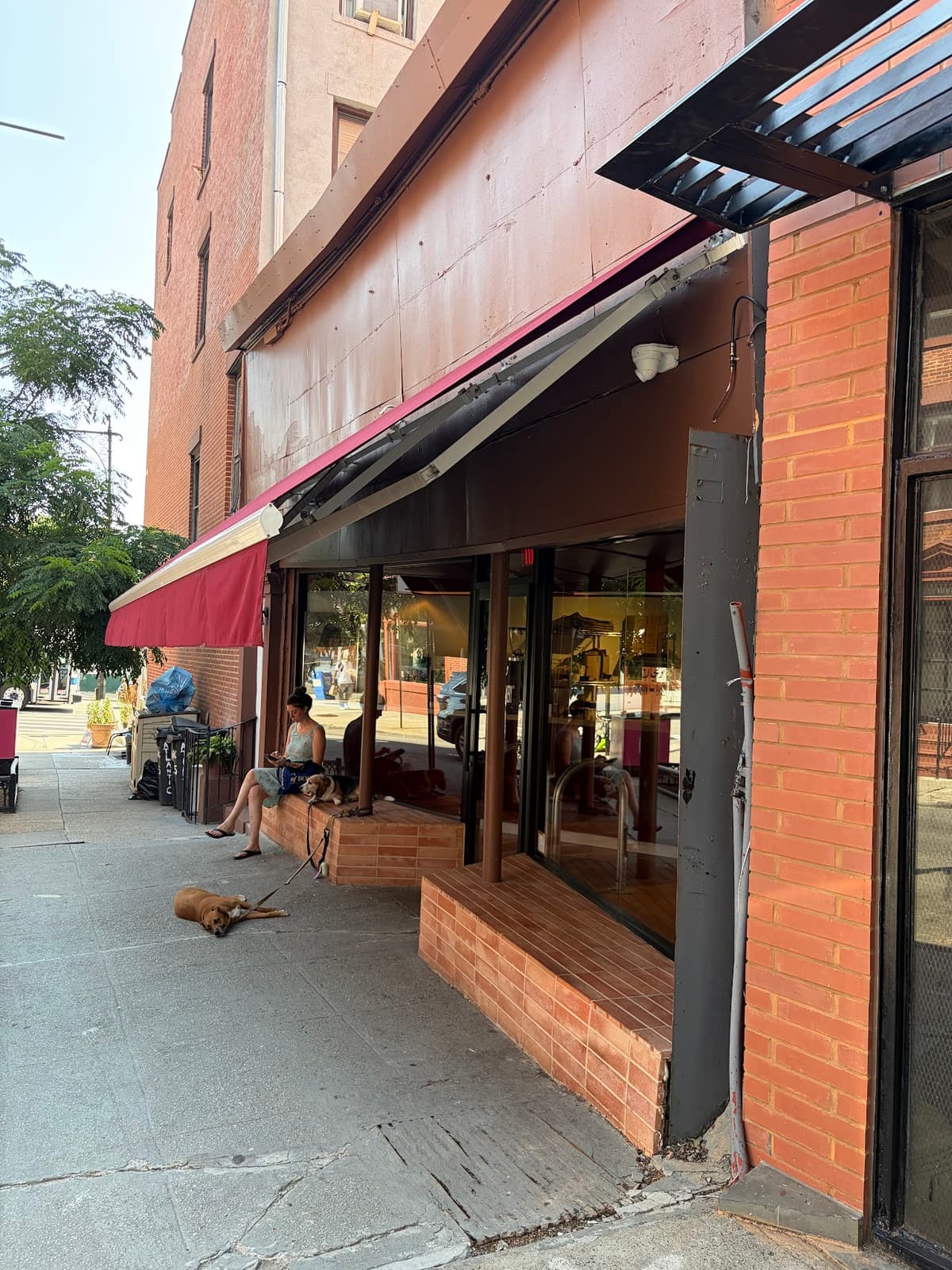 Diljān in New York City