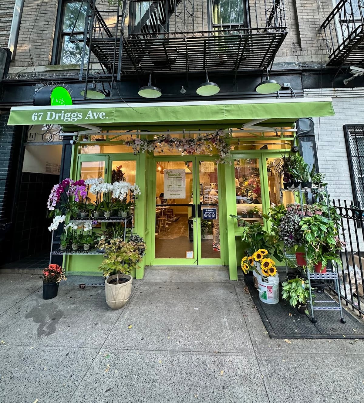 Pairing in New York City