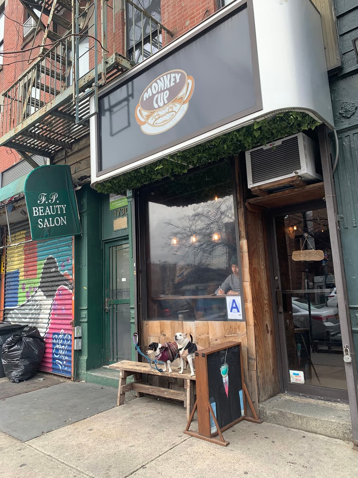 The Monkey Cup in New York City