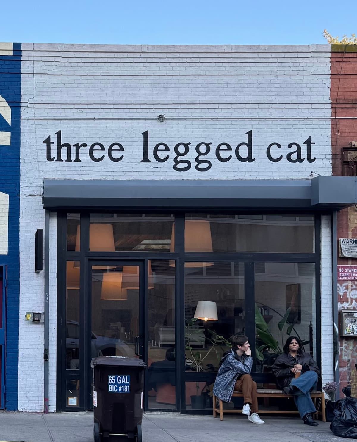 Three Legged Cat in New York City