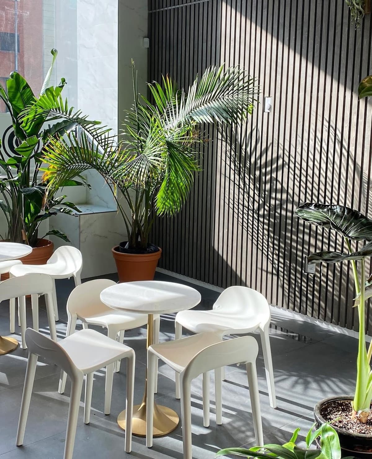 White Noise Coffee in New York City