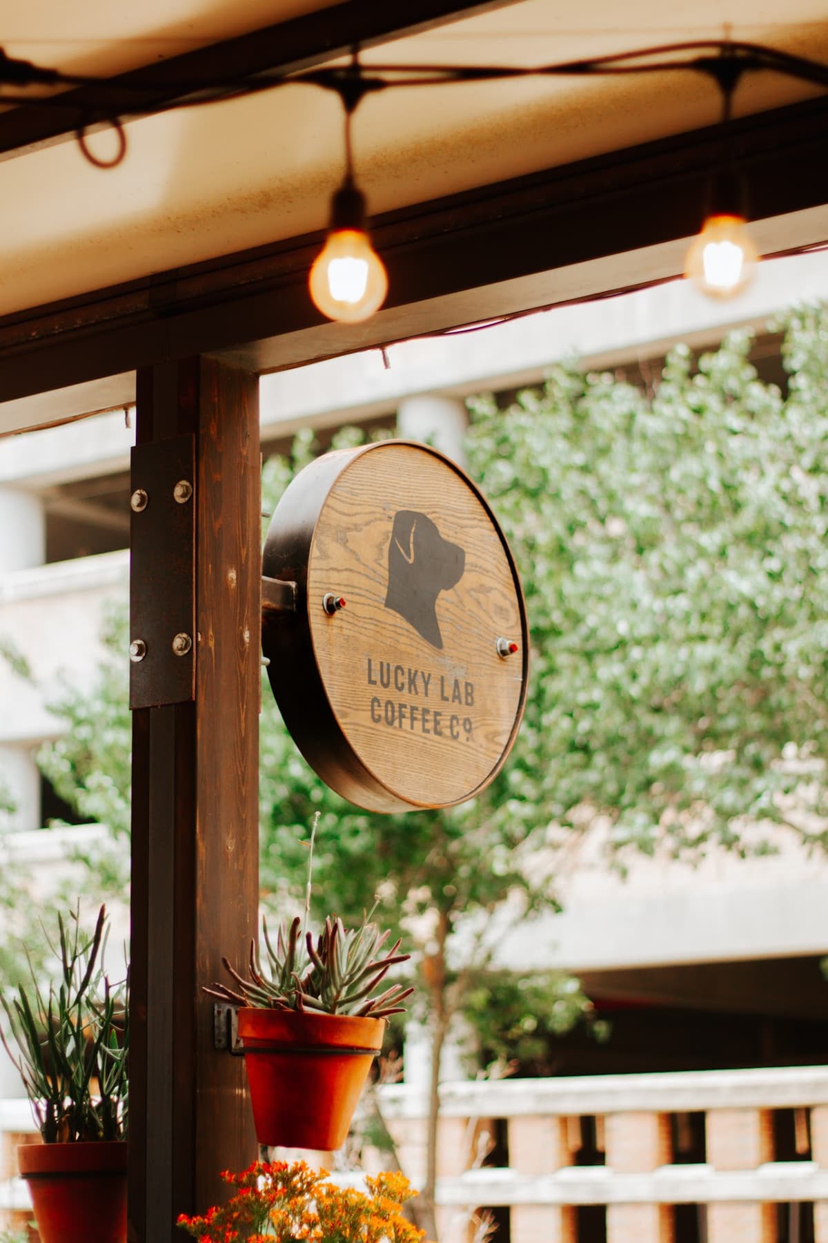 Lucky Lab Coffee Co. in Austin
