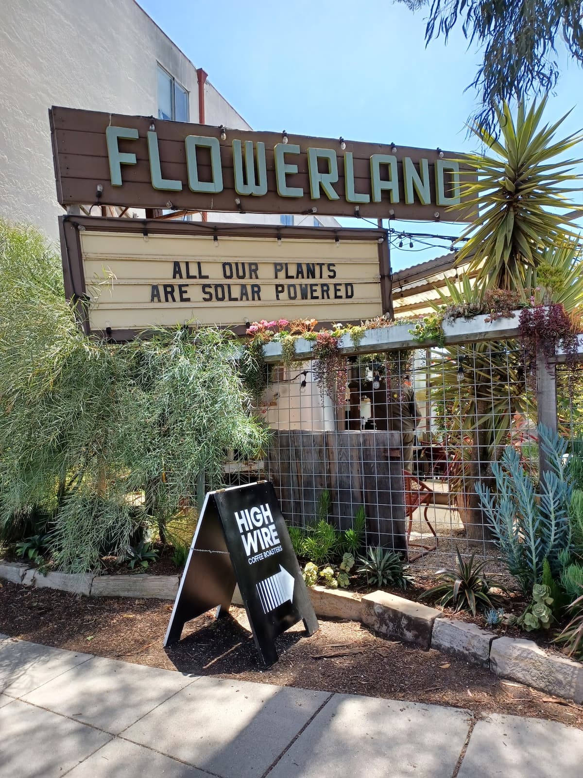 Highwire Coffee (Flowerland) in Berkeley