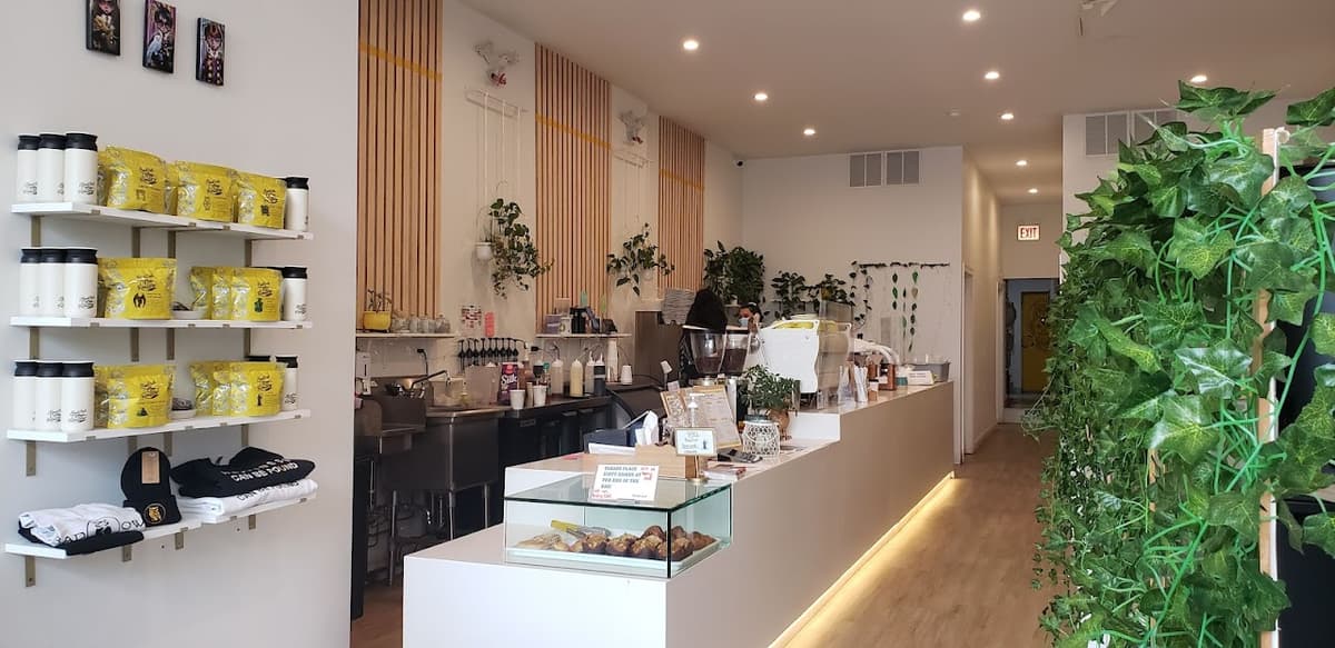 Bad Owl Coffee Roasters in Chicago