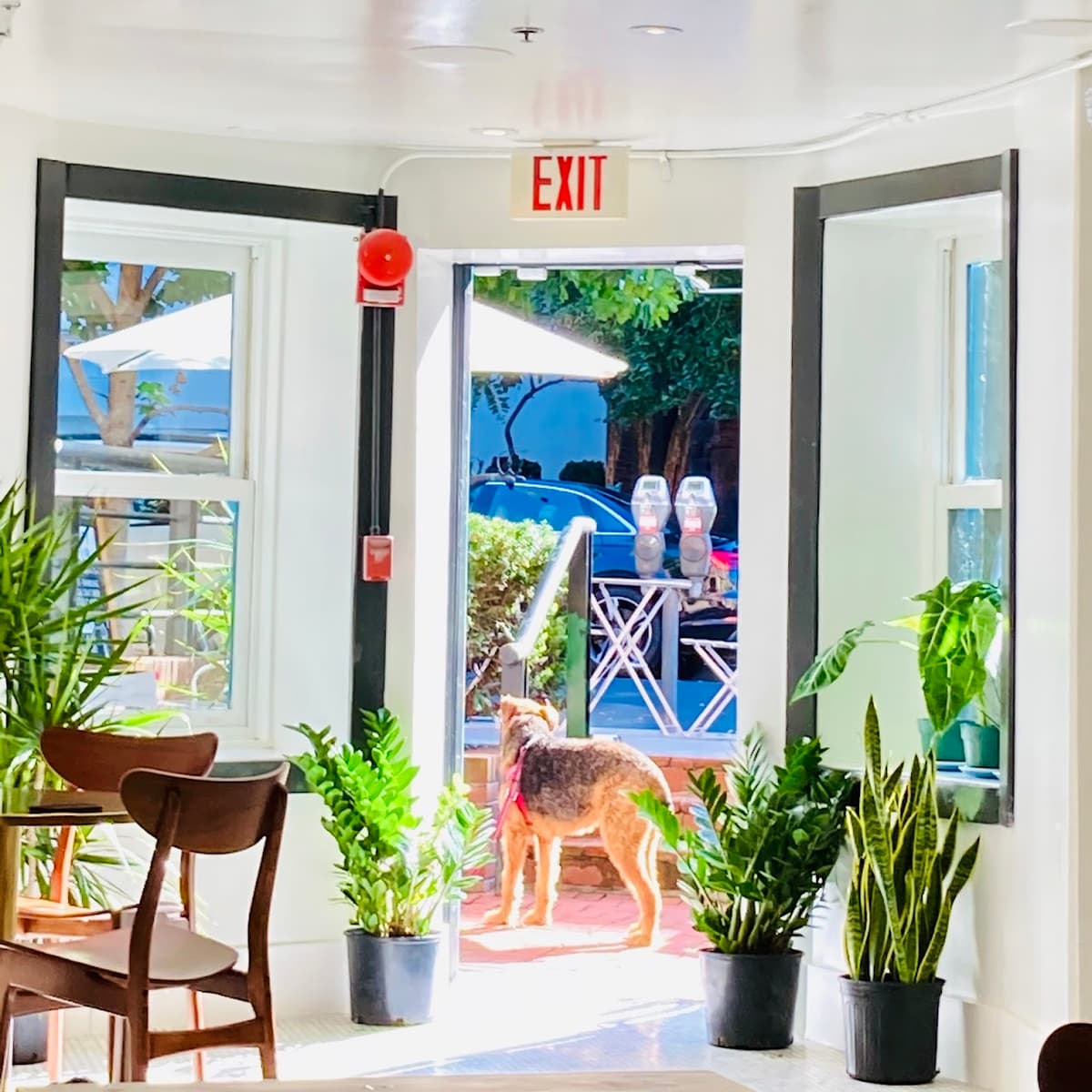 Filter Coffeehouse (Dupont) in Washington DC